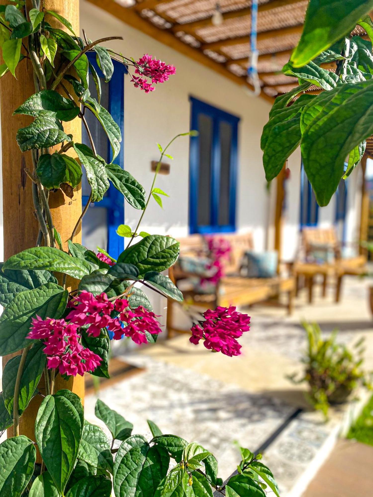 Aldeia كورومباو المظهر الخارجي الصورة