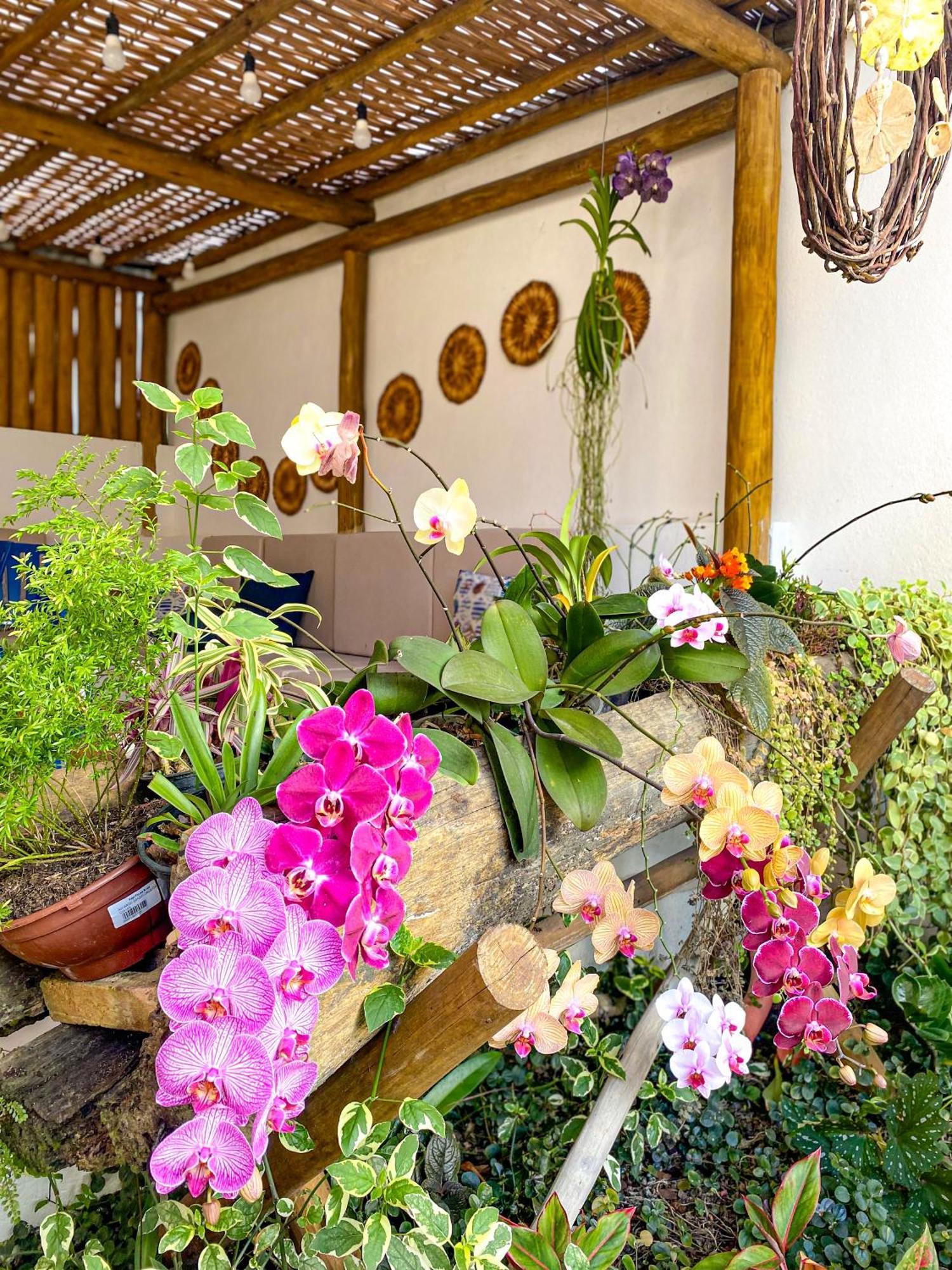Aldeia كورومباو المظهر الخارجي الصورة